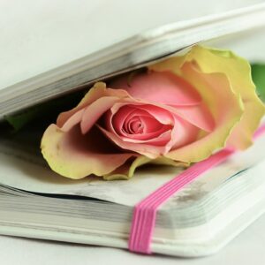 rose, a book, poetry