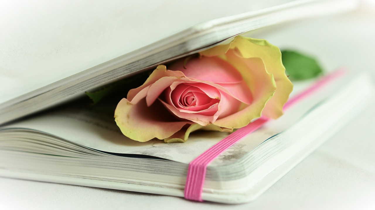 rose, a book, poetry